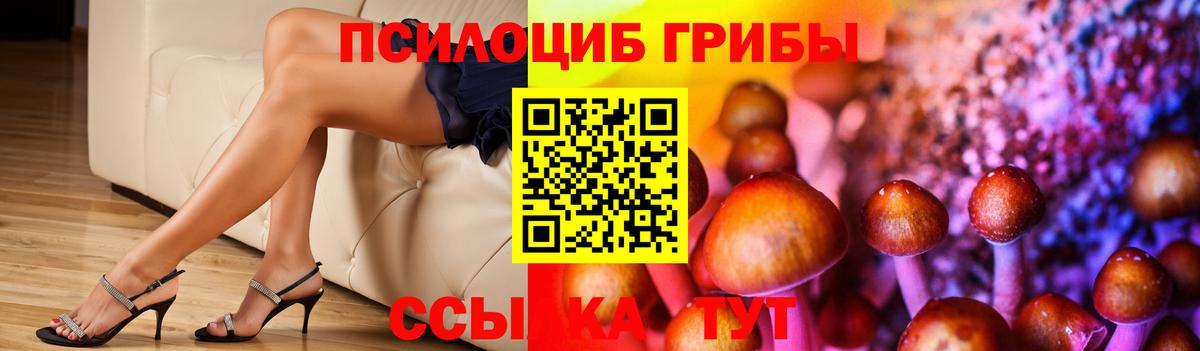 Псилоцибиновые грибы GOLDEN TEACHER Верхний Уфалей